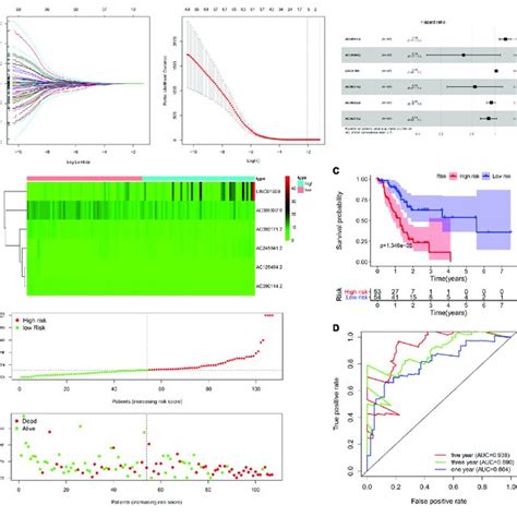 Construction Of The Autophagy Related Lncrnas Signature In Training