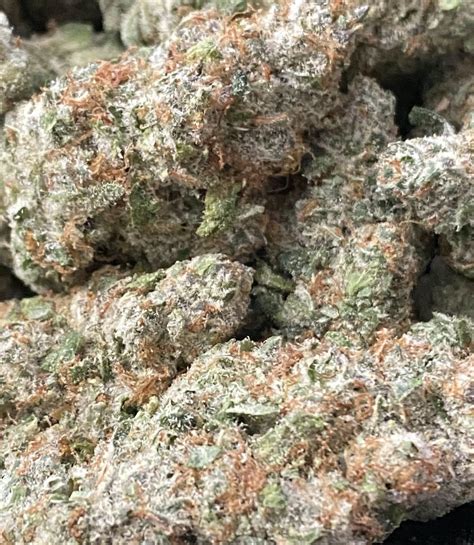 Herbal Remedies Of Maine Peach Crescendo By Hilltop Farms Weedmaps