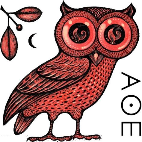 Athena S Owl Beautiful Tattoos Tattoo Ideas Pinterest Owl