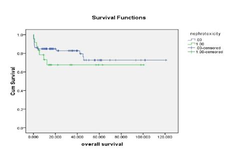 Kaplan Meier Curve Of The Cumulative Patient Survival In Patients With