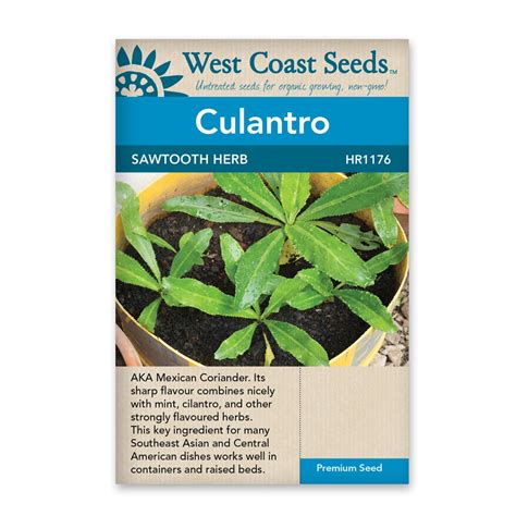 Culantro