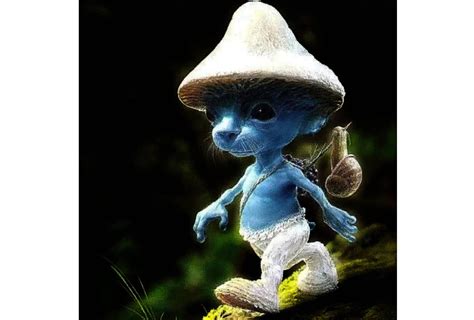 Smurf Cat Meme Explained You