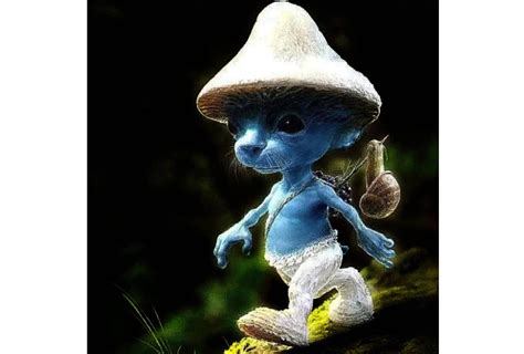 Where Did Smurf Cat Come From? Explaining the Internet Meme - Your Pets ...