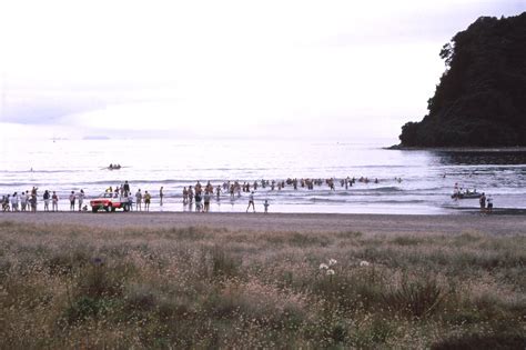 New Years Day Swim Whangamata Jan 1st 1990 Whangamata Wai Flickr