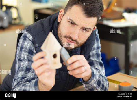 Mature Man Making Nest Box Stock Photo Alamy