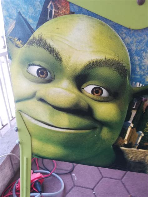 Shrek on a flipper at Dubrovnik, Croatia : r/Shrek