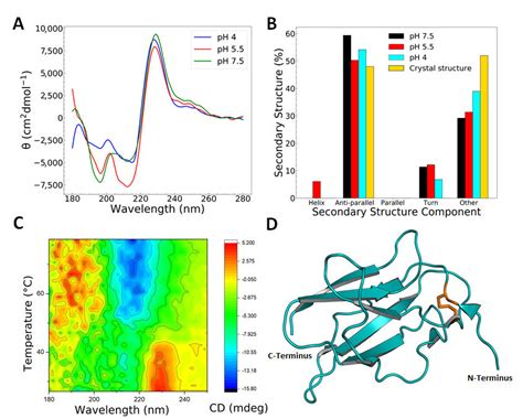 EDIII Is Well Folded Over A Range Of PHs A Circular Dichroism CD