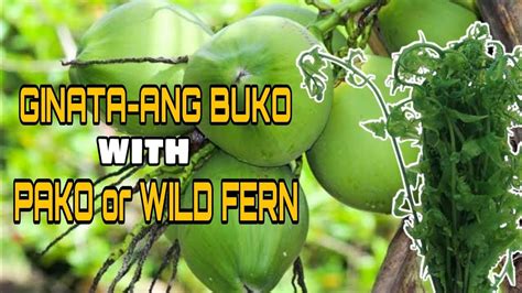 Ganito Ang Pagluluto Ng Ginataang Buko With Pako Fern So Try Nyo Din