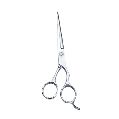 Hair Cutting Scissors Shears Hairdressing Mg777049 Guard Organizer Vintage T9 Haircut How To