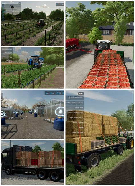 started  farm  bit uncommon     pretty big grape field