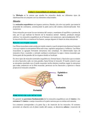 Sistema Urinario Resumen Gray S Anatomy For Students Unidad