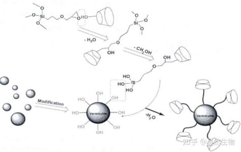 树枝状环糊精cd Cs Gnpcd Mvnh氨基功能化壳聚糖蛭石 知乎