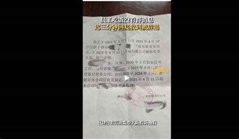 是谁给予公司这般权利 女子回工作群消息迟了3分钟被辞退引关注给予公司 社会资讯 川北在线