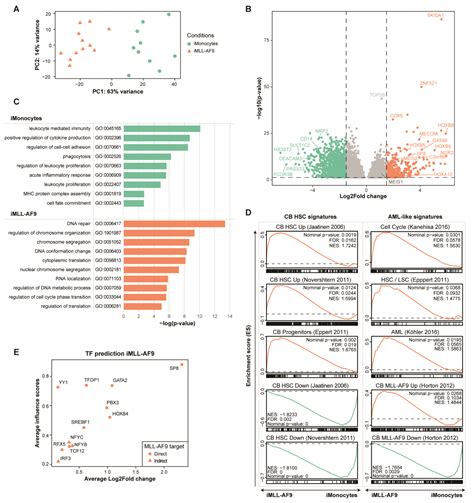 Cells Free Full Text Inducible Mll Af9 Expression Drives An Aml