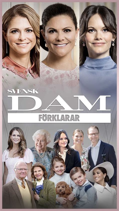svensk dam foerklarar video svensk dam