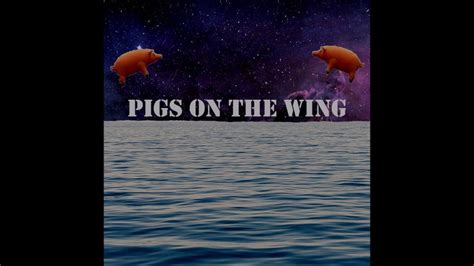 Pink Floyd Pigs On The Wing Part Acoustic Cover Youtube