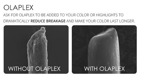 How To Use Olaplex No 3 Everything You Need To Know