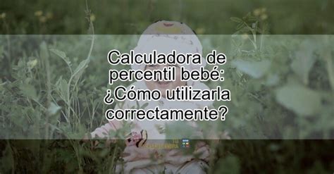 Calculadora De Percentil Beb C Mo Utilizarla Correctamente