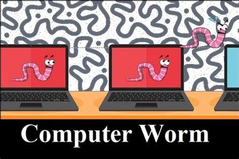 What Is A Computer Worm And How To Prevent It On Your Pc Computer