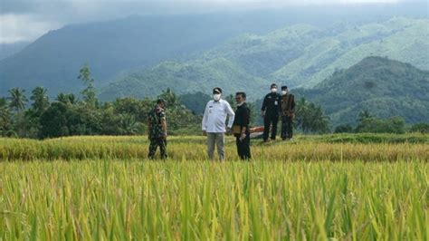 Mentan Ajak Petani Aceh Tingkatkan Produktivitas Panen Padi 34 Kali