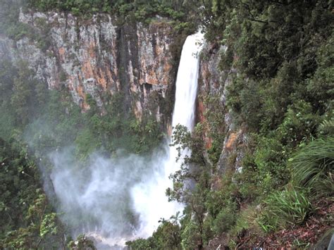 Gondwana Rainforests of Australia World Heritage