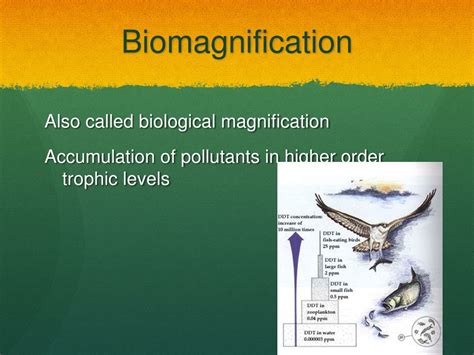 Ppt Biosphere Powerpoint Presentation Free Download Id9072557