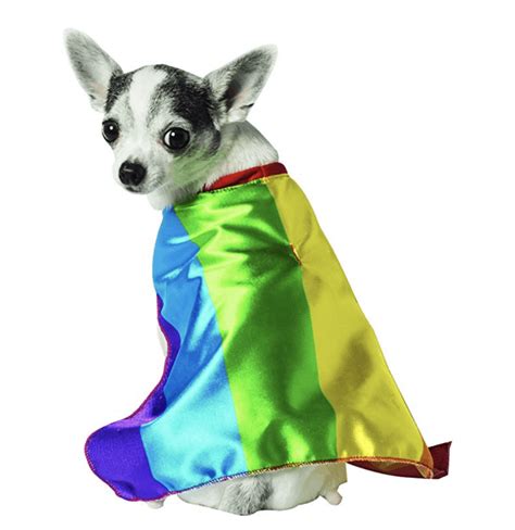 Rainbow Dog Cape - Pet Costume Center