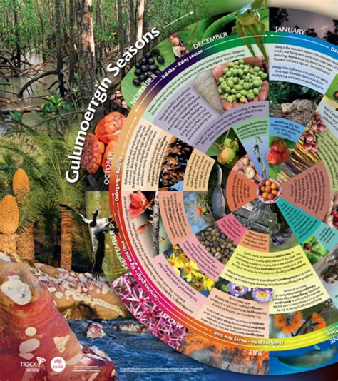 Indigenous Seasonal Calendar Methodology Decisions And Strategic