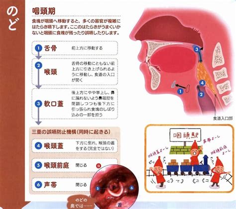 口腔機能の低下と摂食嚥下障害 八島歯科クリニック