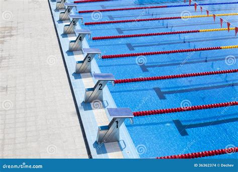 The Row Of Starting Blocks Of A Swimming Pool Stock Photo | CartoonDealer.com #36362374