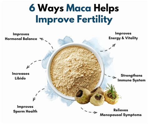 Benefits Of Maca Root For Fertility Tcm Blog