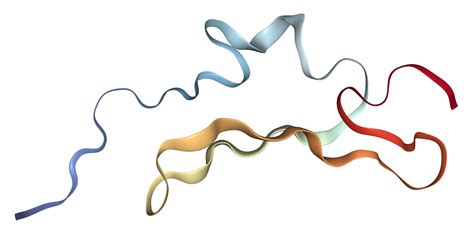 Amphiregulin Protein Overview Sino Biological