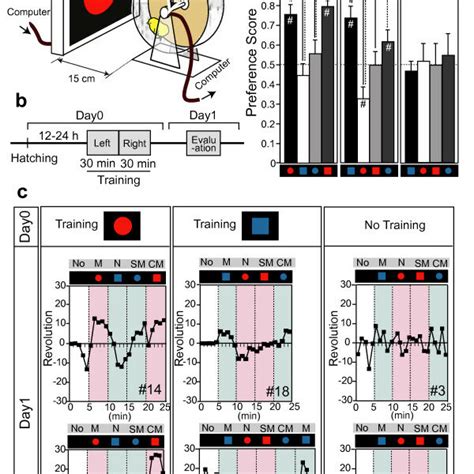 Imprinting Behavior In Chicks Against Two Dimensional Images Presented