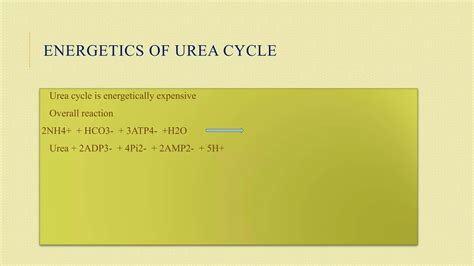 Urea Cycle Ppt