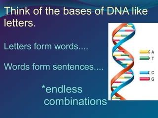 DNA-Structure-PPT (1).ppt | Free Download