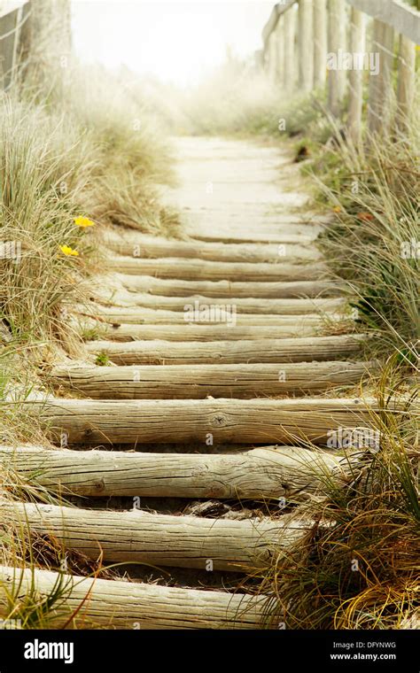 Walkway Leading To The Beach Stock Photo Alamy