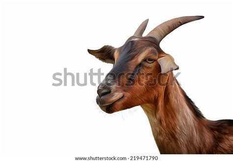 Drawing Goats Portrait Stock Illustration 219471790 Shutterstock