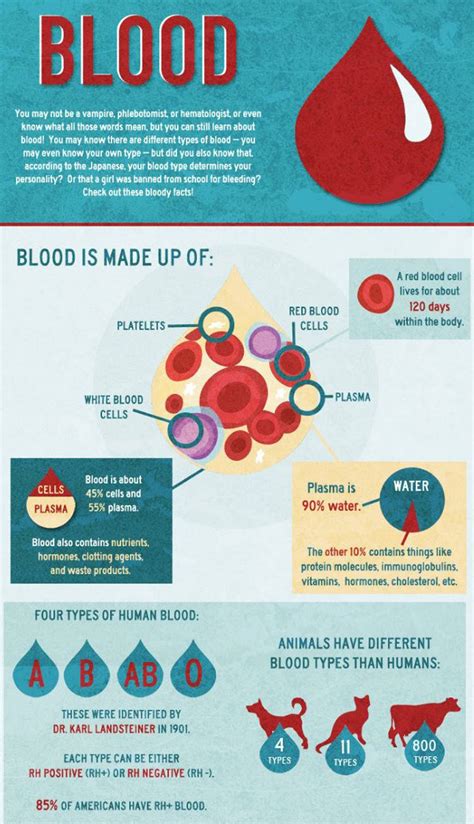 Microcytic Anemia: Causes, Symptoms, and Treatment Options