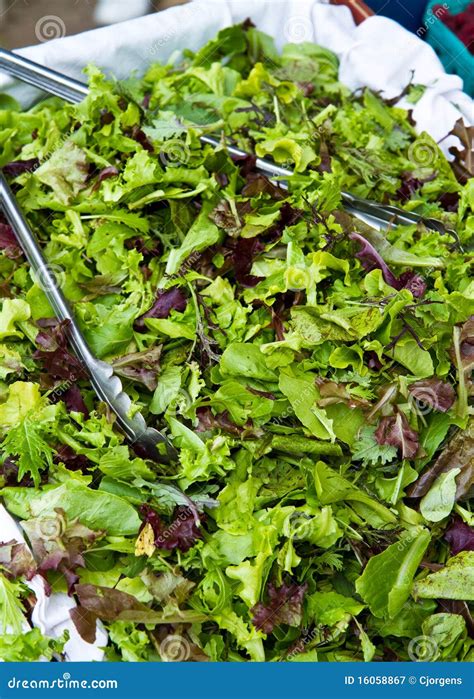 Organic Salad Mix Stock Image Image Of Healthy Freshness 16058867