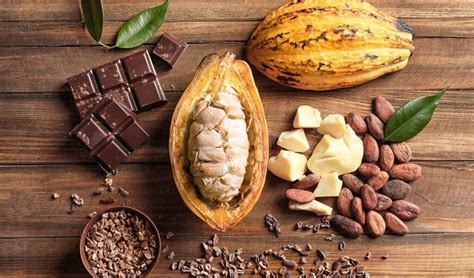 Cacao Butter Nutrition Benefits And Uses Healthy Blog