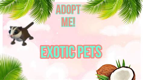 Adopt Me Exotic Pets List ⭐️🐢 What Is An Exotic Pet In Adopt Me 🐯🌴