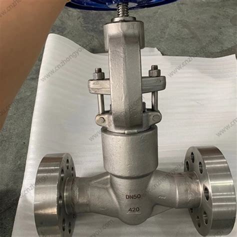 Swing Check Valve With Eyebolt A182 F304 DN50 PN420 58 OFF