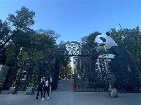 Festival Del Bosque De Chapultepec