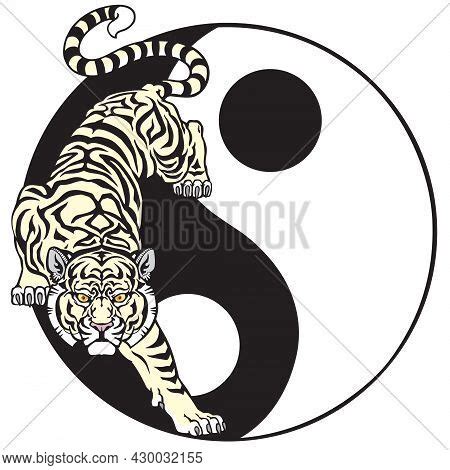 Tiger Yin Yang Symbol Vector Photo Free Trial Bigstock