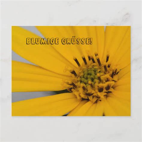 Blumen Gruß Postkarte Zazzle de