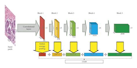 Schematic Diagram Of Feature Extraction With Resnet Download