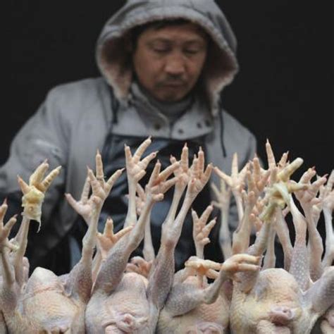 China Reports Second Fatal Case Of Bird Flu This Year In Guizhou