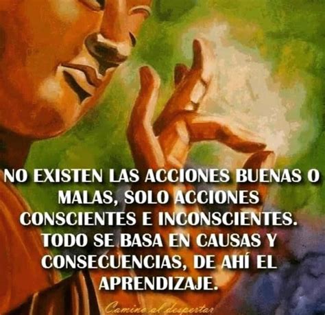 No Existen Las Acciones Buenas O Malas Solo Acciones Conscientes E