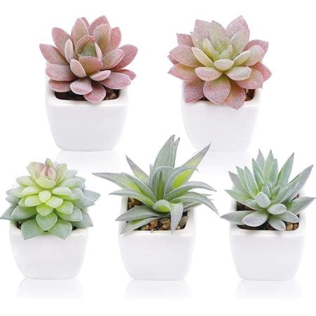 Amazon Jelofly Fake Plants Artificial Succulent Plants Assorted