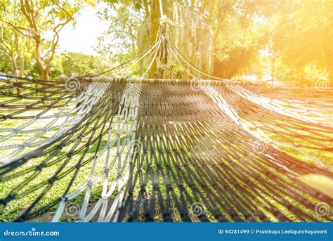 Hammock Under The Tree In Garden For Relaxation Stock Image Image Of